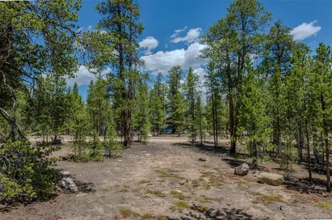294 Peak View Drive Twin Lakes CO 80461