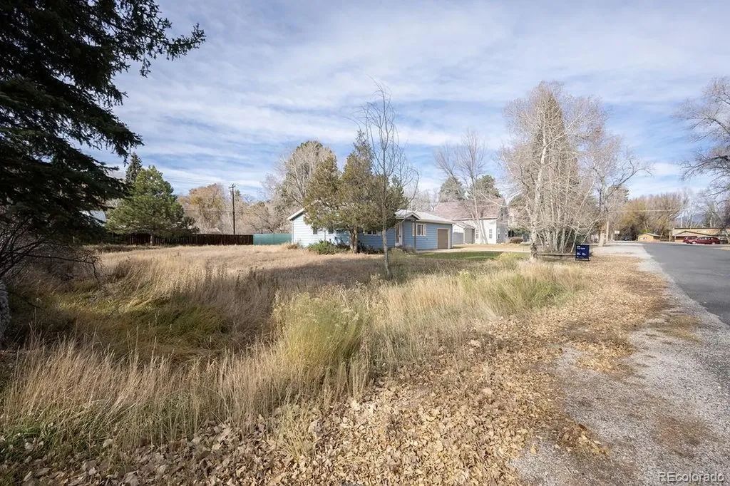 212 N Gunnison Avenue Buena Vista CO 81211