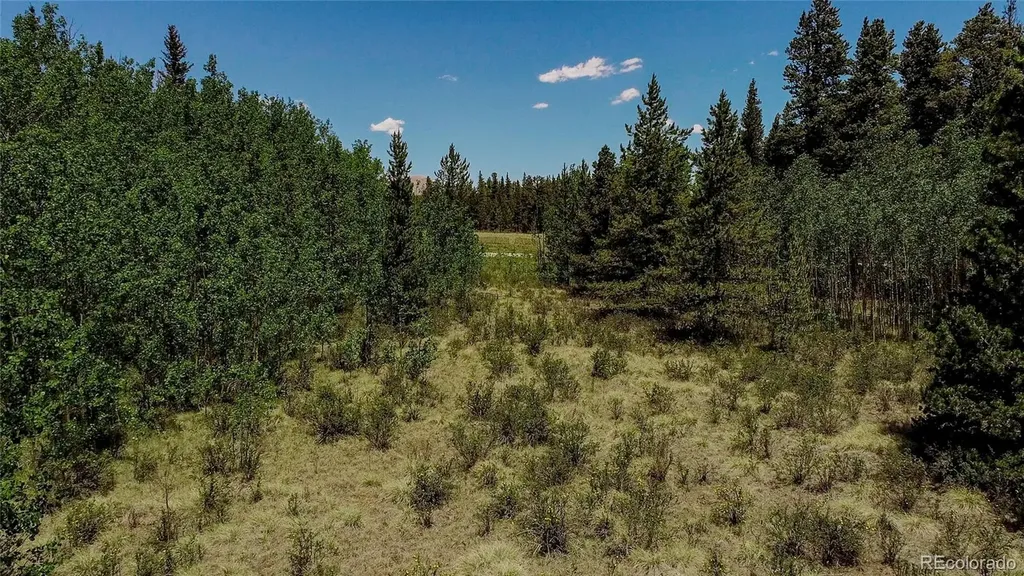 515 Wild Rye Road Fairplay CO 80440