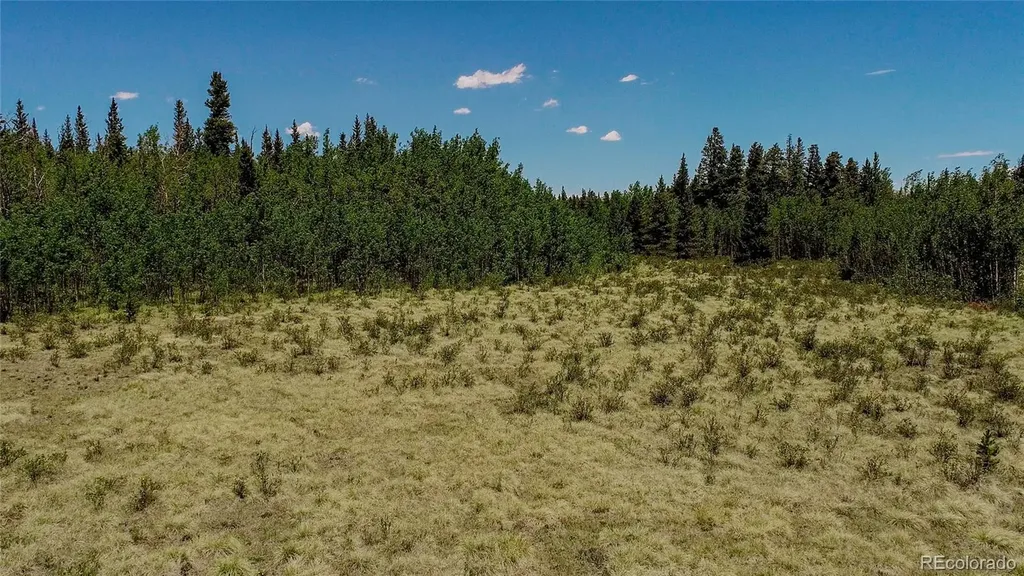 515 Wild Rye Road Fairplay CO 80440