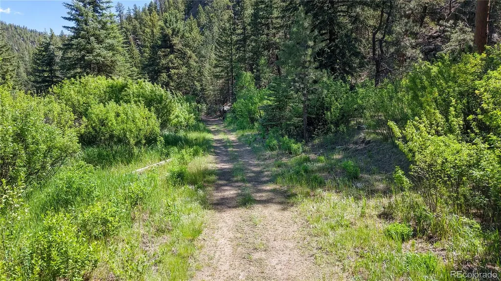 3820 County Road 68 Bailey CO 80421