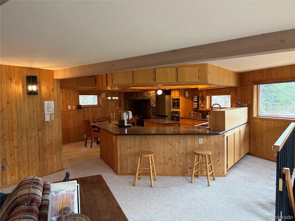 3820 County Road 68 Bailey CO 80421