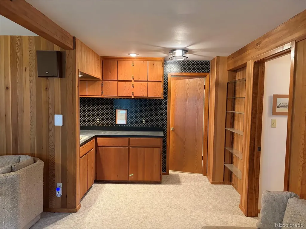 3820 County Road 68 Bailey CO 80421