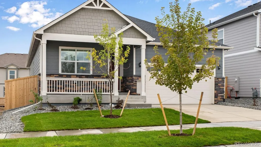 14234 Beebalm Avenue Parker CO 80134
