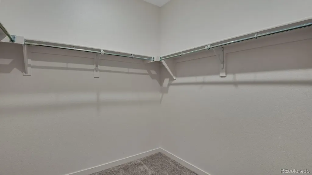 14234 Beebalm Avenue Parker CO 80134