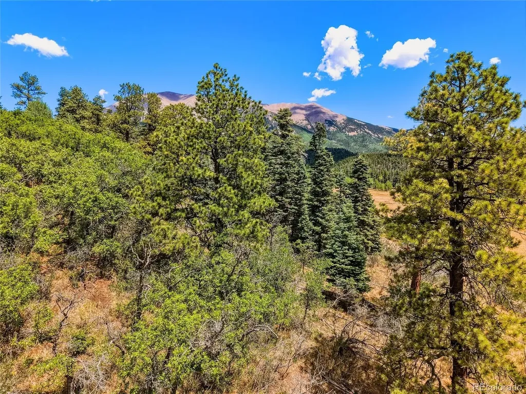 Spanish Peaks Ranch Lots 56 & 57 Aguilar CO 81020