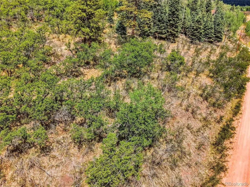 Spanish Peaks Ranch Lots 56 & 57 Aguilar CO 81020