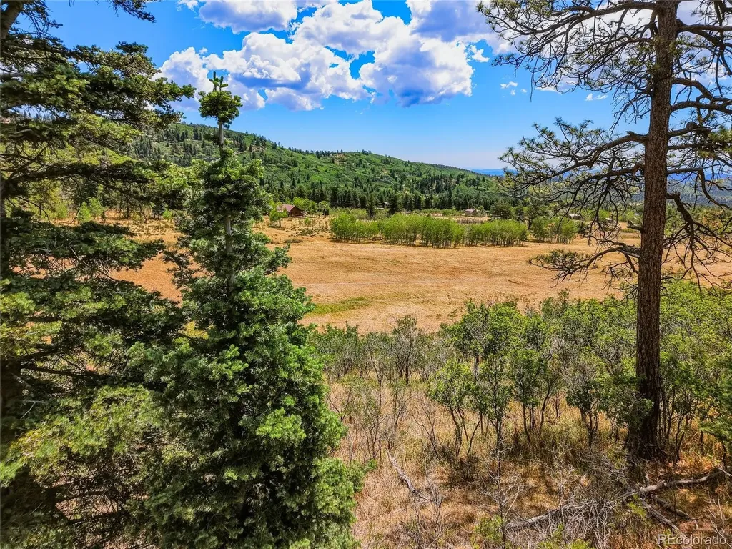Spanish Peaks Ranch Lots 56 & 57 Aguilar CO 81020