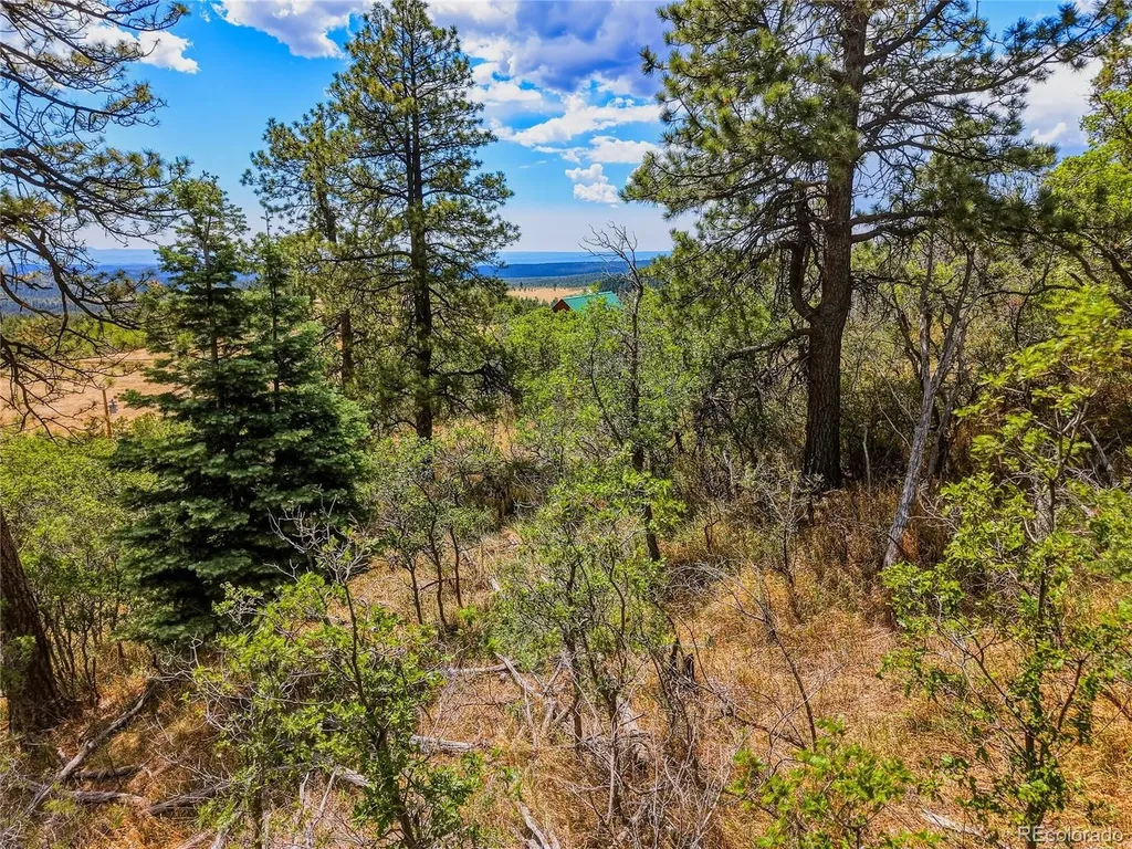 Spanish Peaks Ranch Lots 56 & 57 Aguilar CO 81020