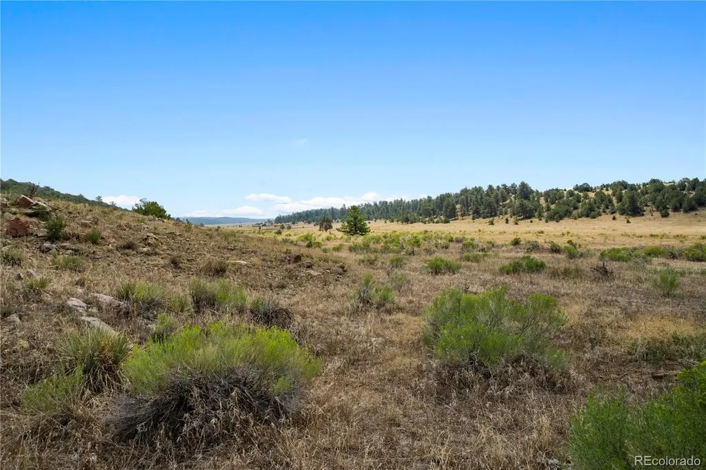 Airport Way Westcliffe CO 81252