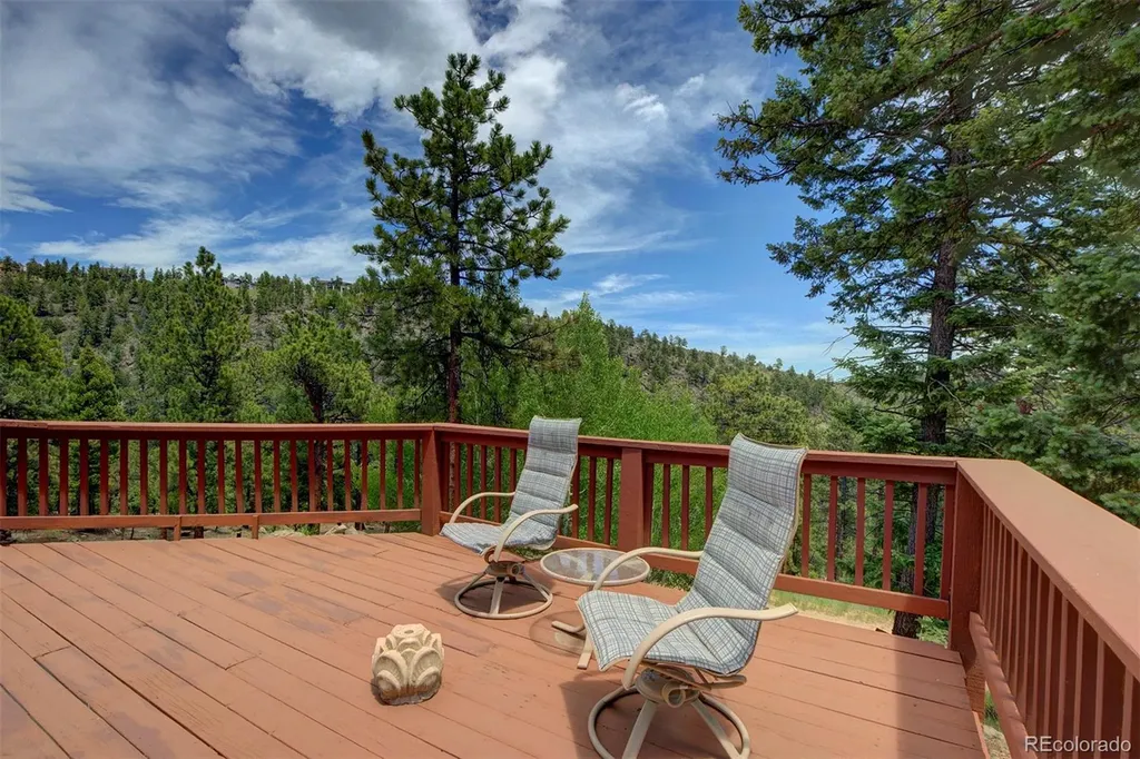 33508 Persistence Avenue Pine CO 80470