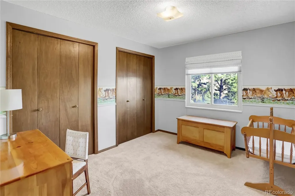 28 Gordon Dr Road Castle Rock CO 80104