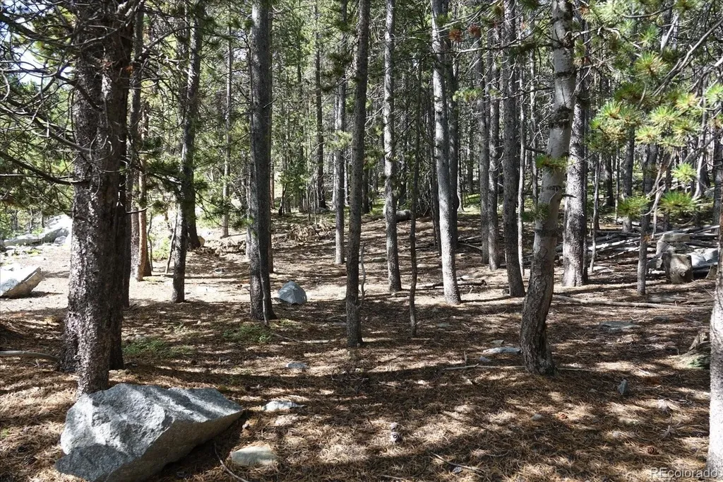00 Upper Forest Road Idaho Springs CO 80452