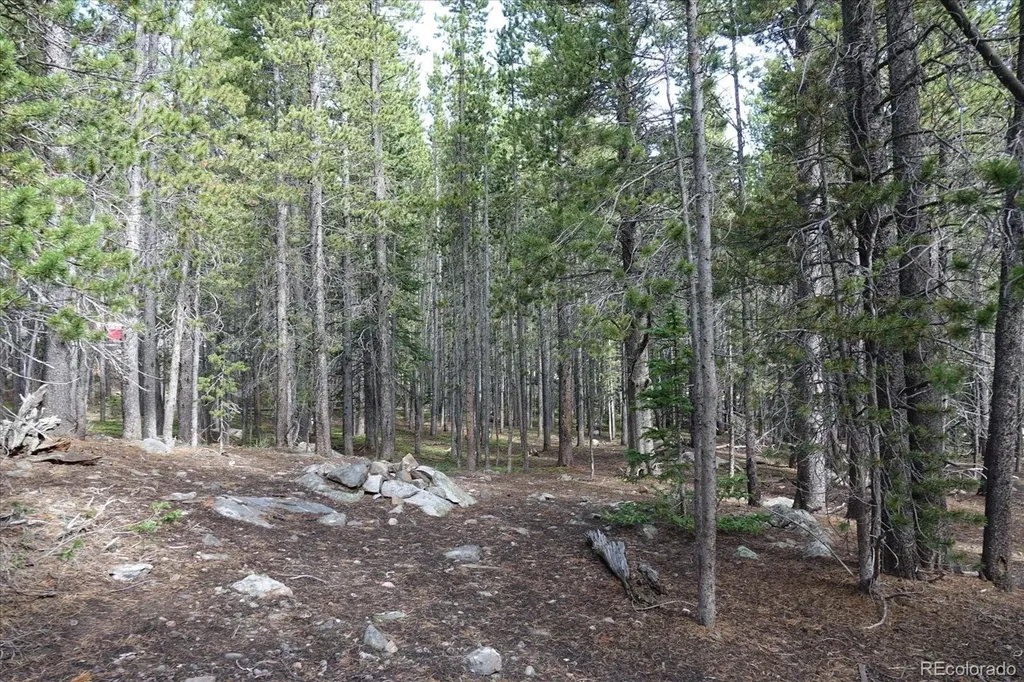 00 Upper Forest Road Idaho Springs CO 80452