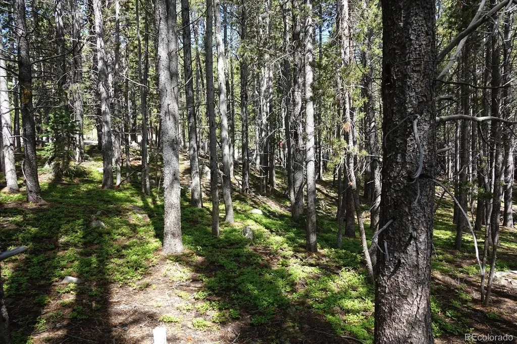 00 Upper Forest Road Idaho Springs CO 80452