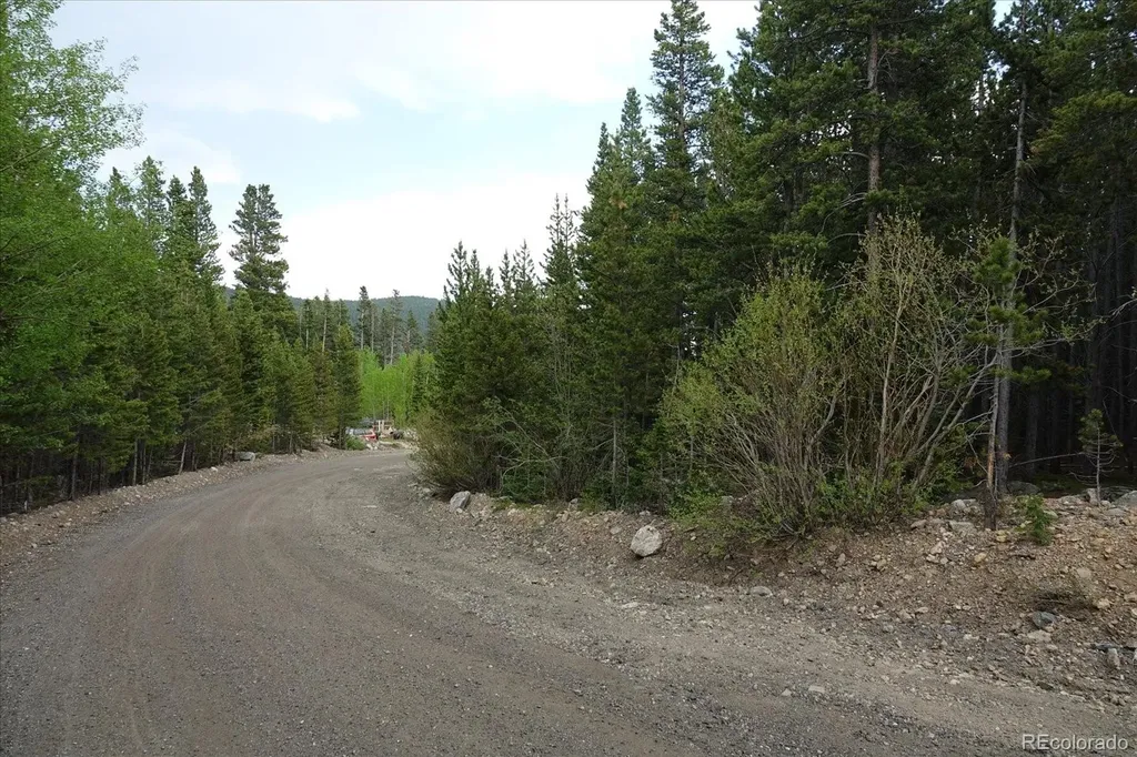 00 Upper Forest Road Idaho Springs CO 80452