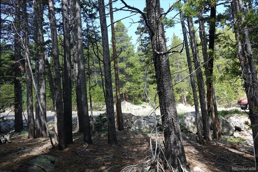 00 Upper Forest Road Idaho Springs CO 80452