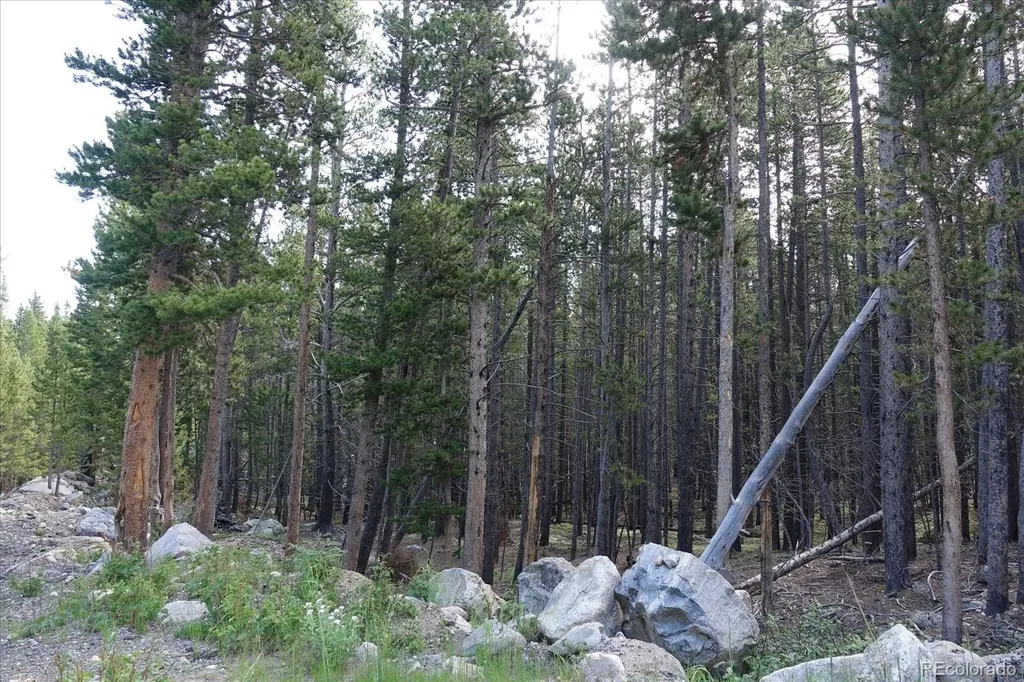 00 Upper Forest Road Idaho Springs CO 80452
