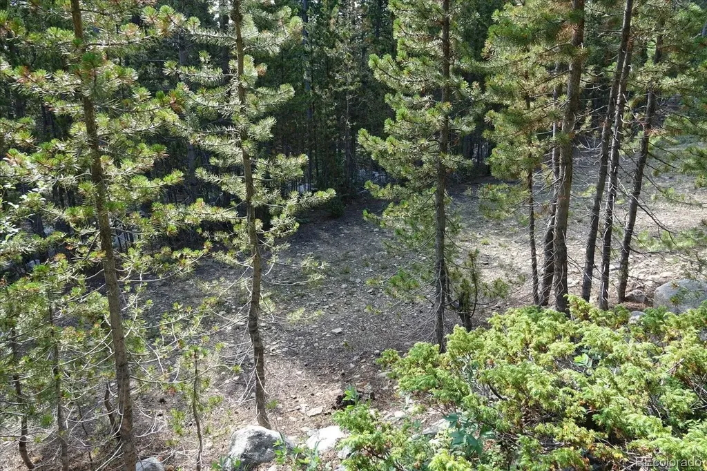 00 Upper Forest Road Idaho Springs CO 80452