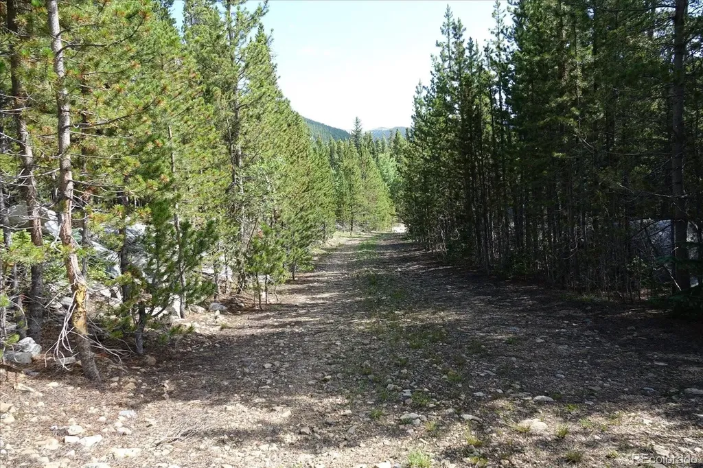 00 Upper Forest Road Idaho Springs CO 80452