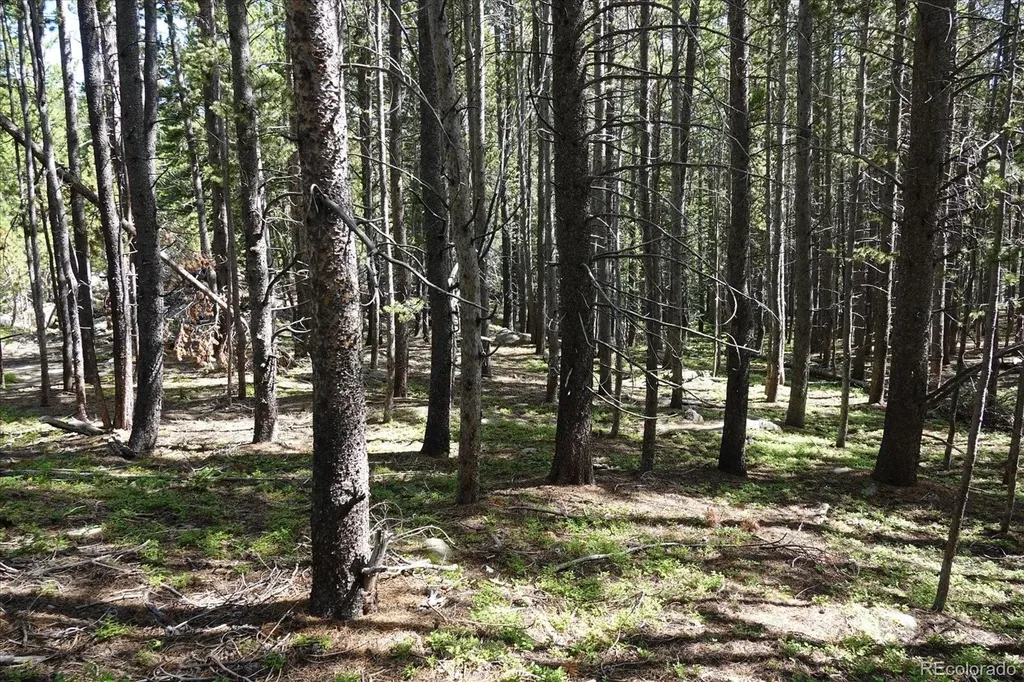 00 Upper Forest Road Idaho Springs CO 80452