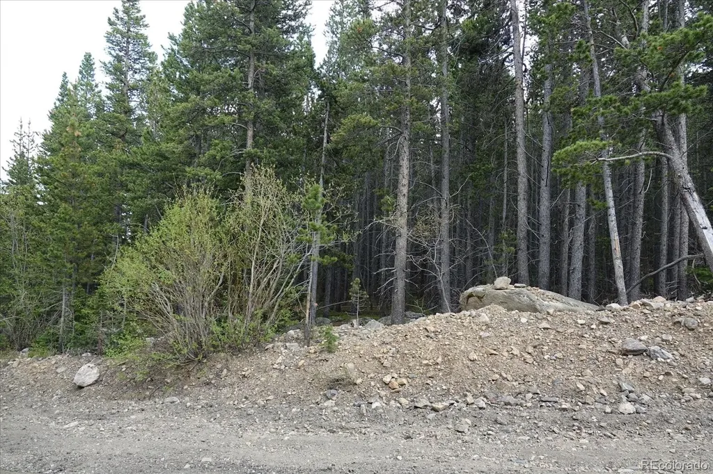 00 Upper Forest Road Idaho Springs CO 80452