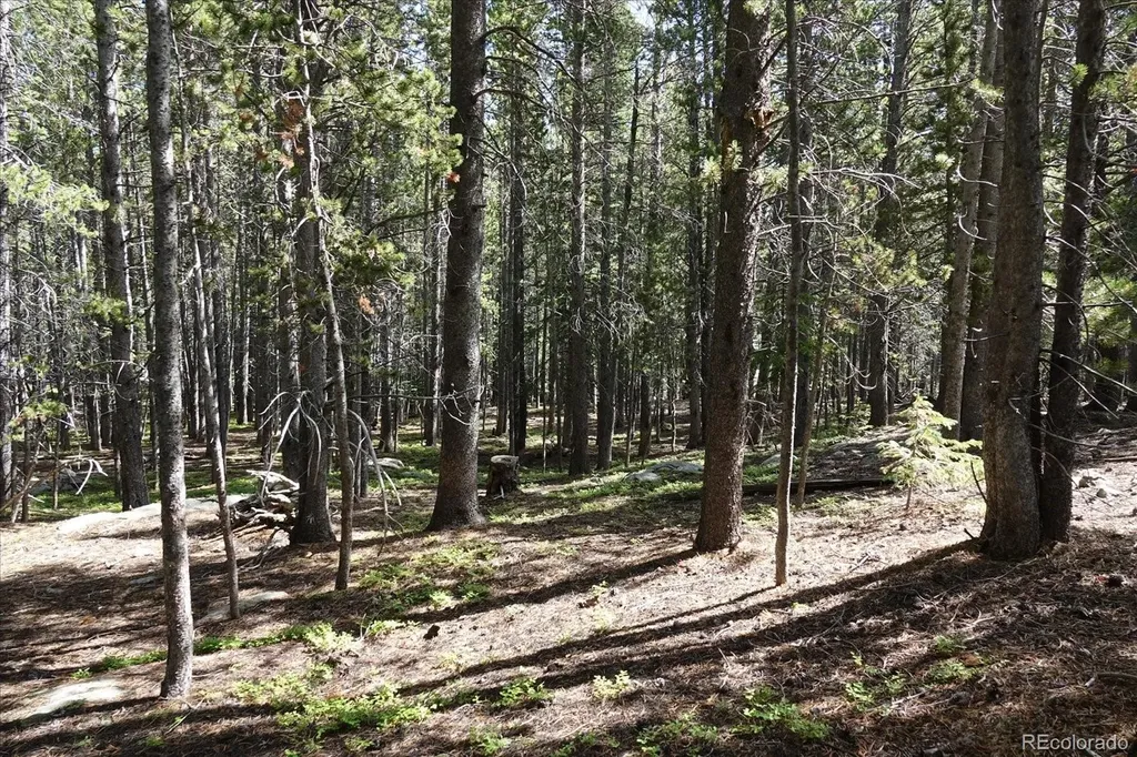 00 Upper Forest Road Idaho Springs CO 80452