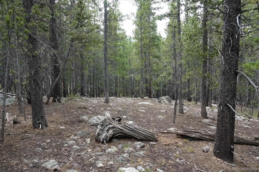 00 Upper Forest Road Idaho Springs CO 80452