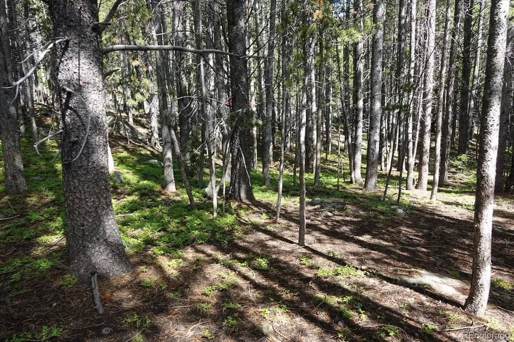 00 Upper Forest Road Idaho Springs CO 80452