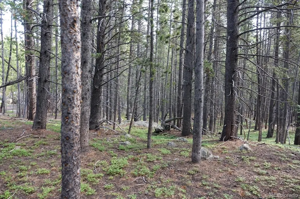 00 Upper Forest Road Idaho Springs CO 80452