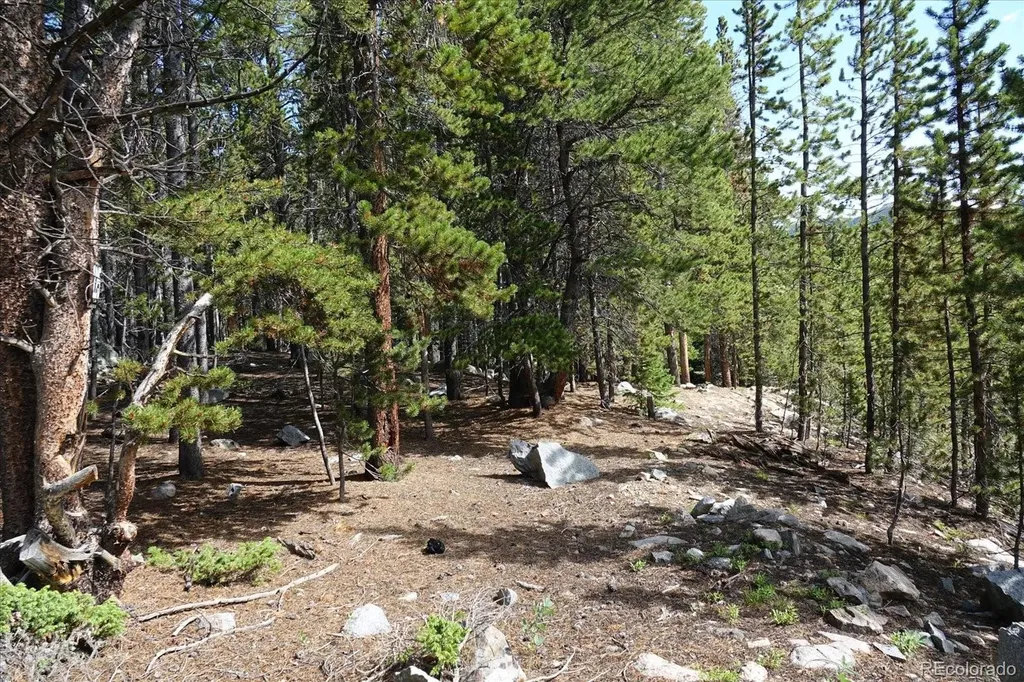 00 Upper Forest Road Idaho Springs CO 80452