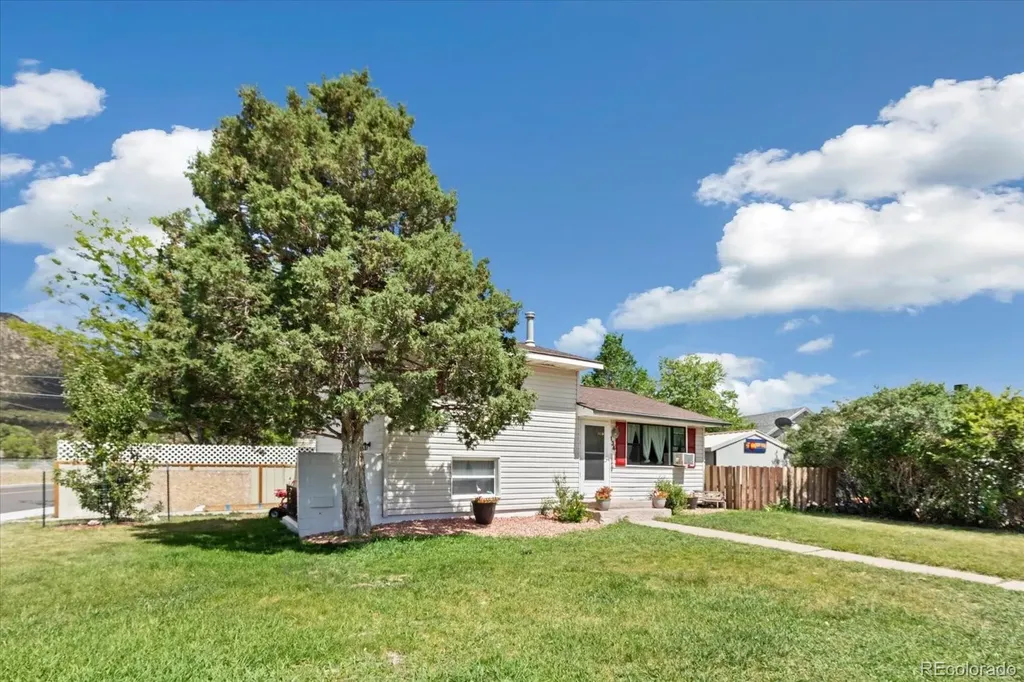 134 Cornell Drive Buena Vista CO 81211