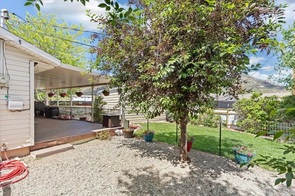 134 Cornell Drive Buena Vista CO 81211