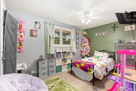 134 Cornell Drive Buena Vista CO 81211