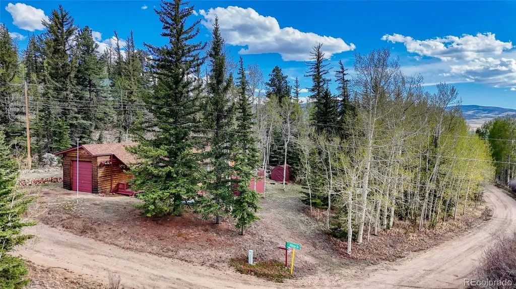 128 Brook Drive Lake George CO 80827