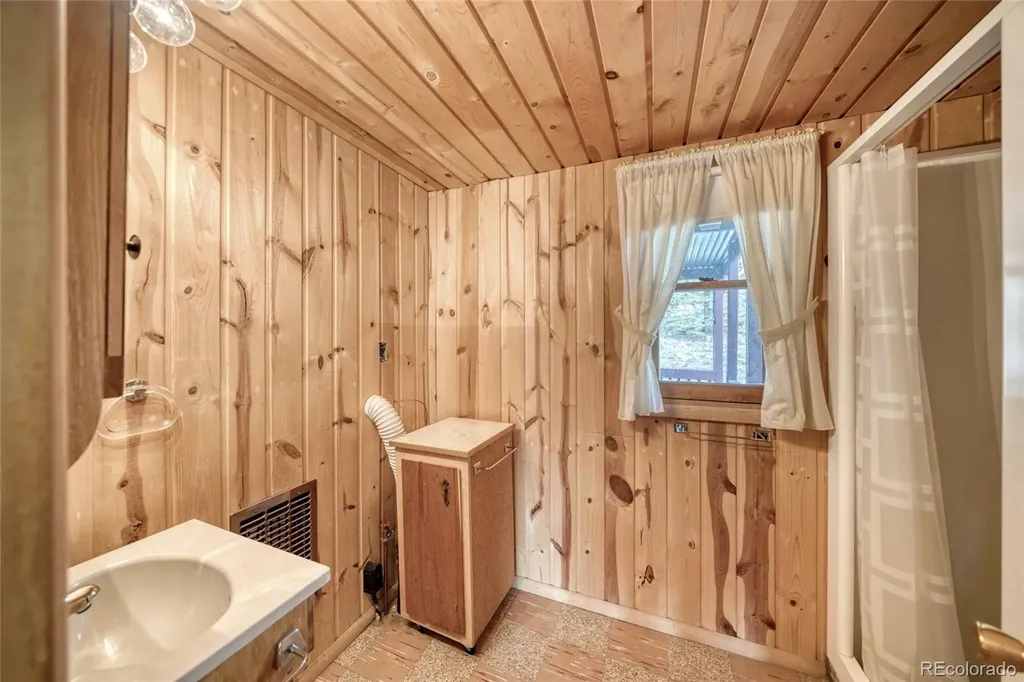 128 Brook Drive Lake George CO 80827