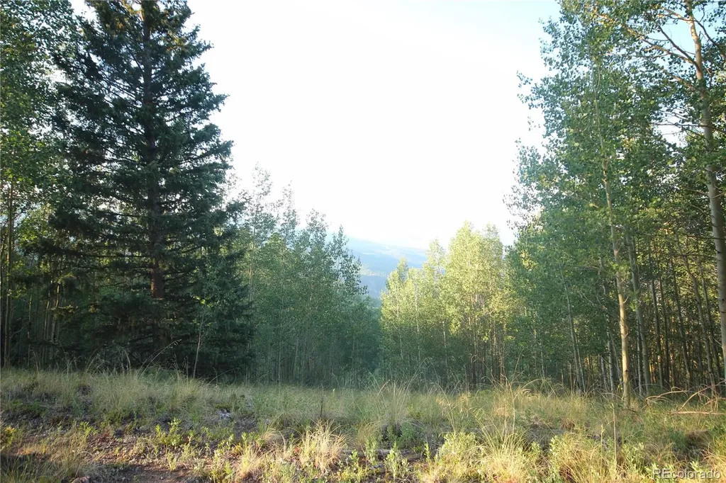 Lot 6588 Forbes Road San Luis CO 81152