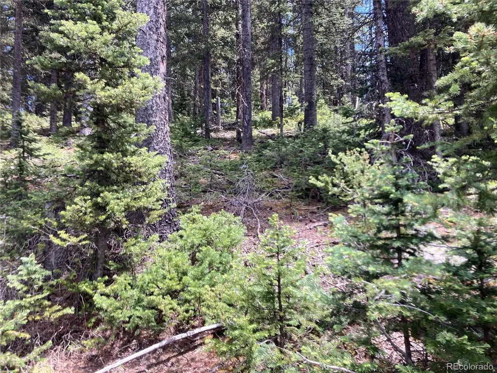 Lot 6588 Forbes Road San Luis CO 81152