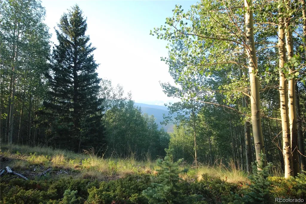 Lot 6588 Forbes Road San Luis CO 81152