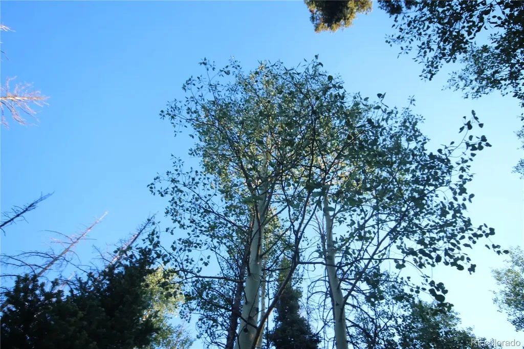 Lot 6588 Forbes Road San Luis CO 81152