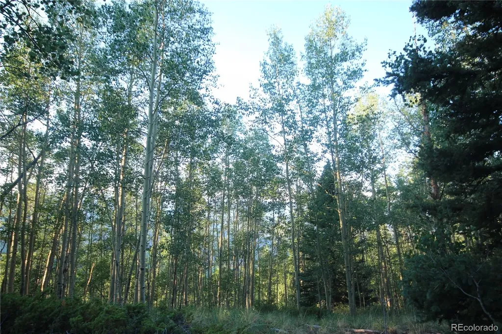 Lot 6588 Forbes Road San Luis CO 81152