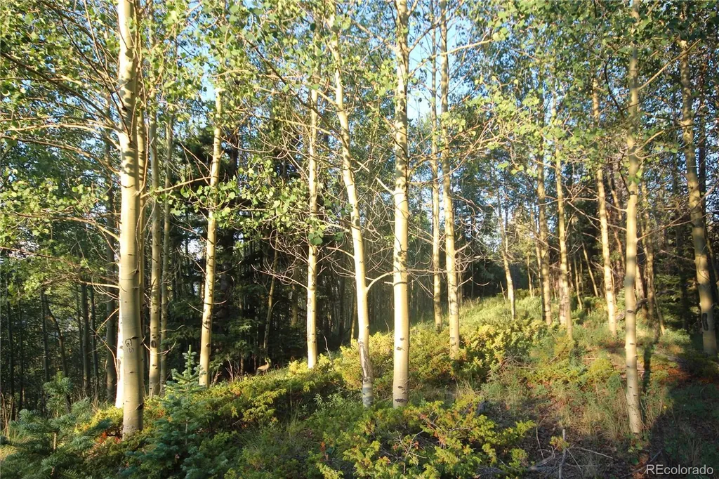 Lot 6588 Forbes Road San Luis CO 81152