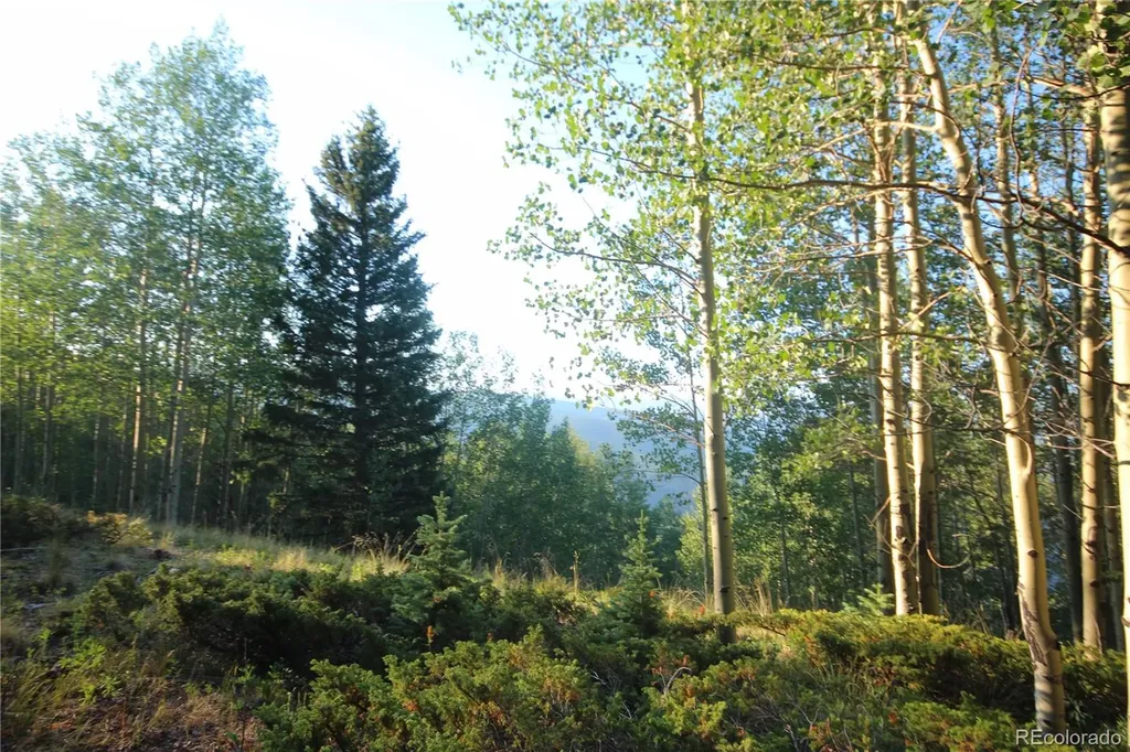 Lot 6588 Forbes Road San Luis CO 81152