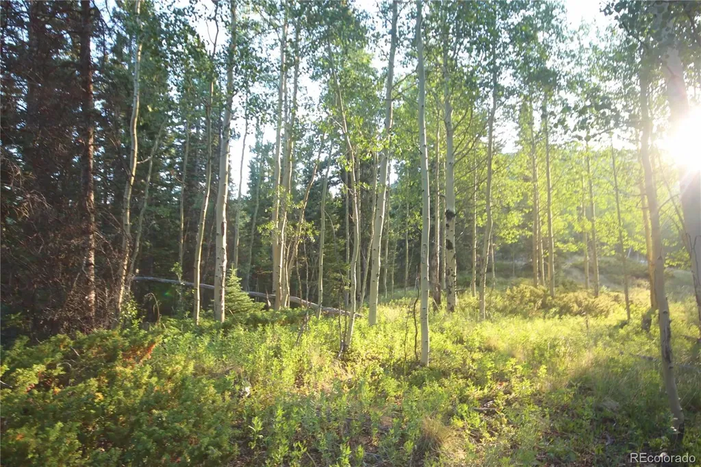 Lot 6588 Forbes Road San Luis CO 81152