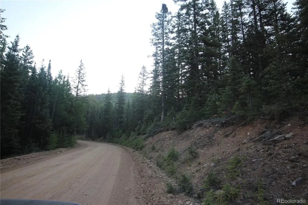 Lot 6588 Forbes Road San Luis CO 81152