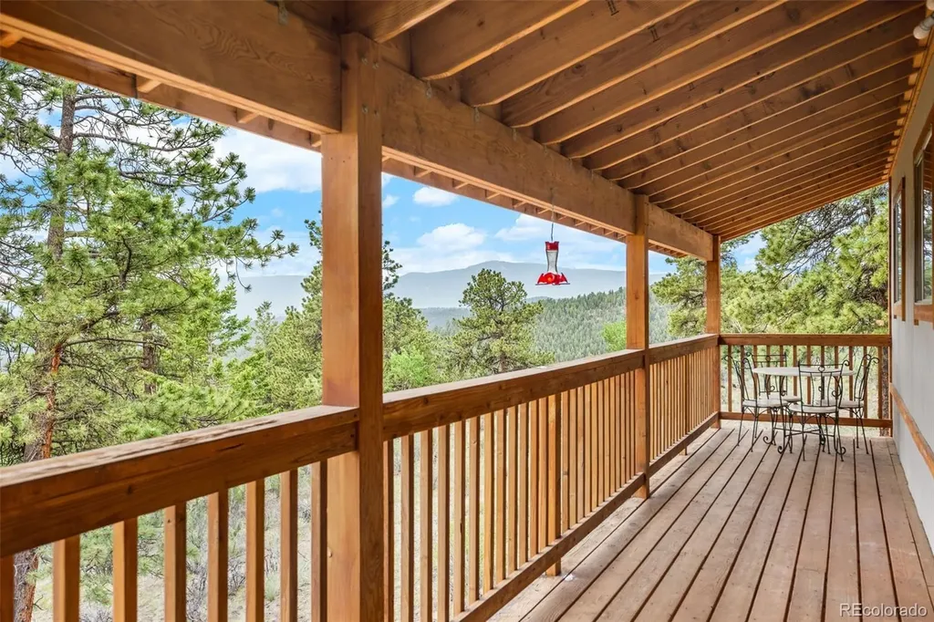 88 Cedar Lane Bailey CO 80421