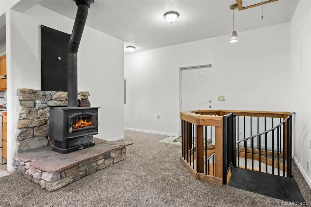 88 Cedar Lane Bailey CO 80421