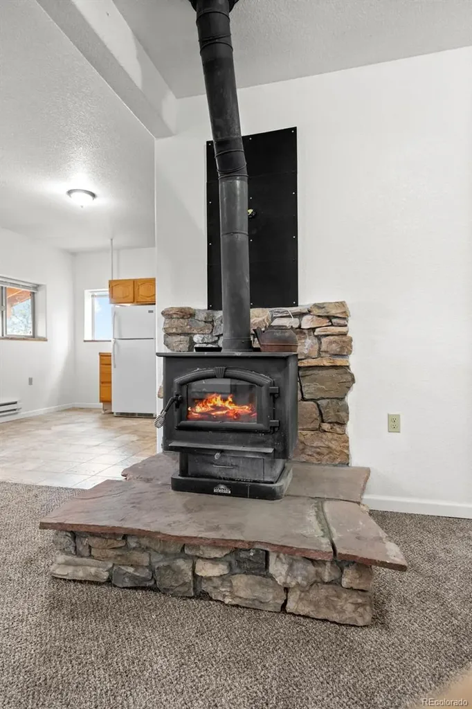 88 Cedar Lane Bailey CO 80421