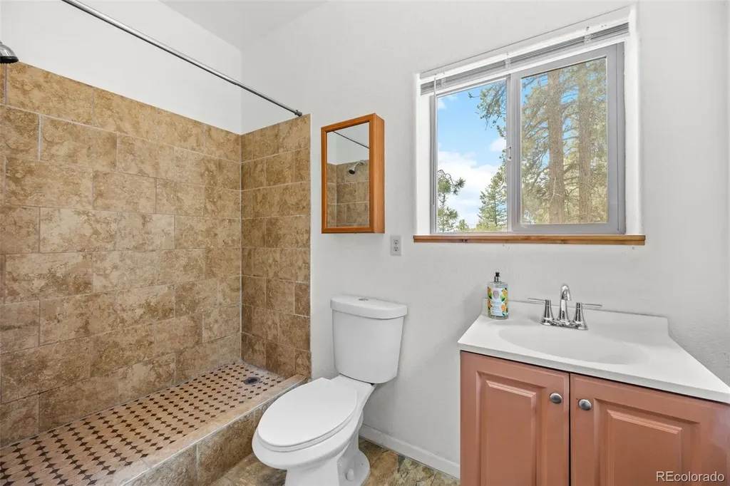 88 Cedar Lane Bailey CO 80421