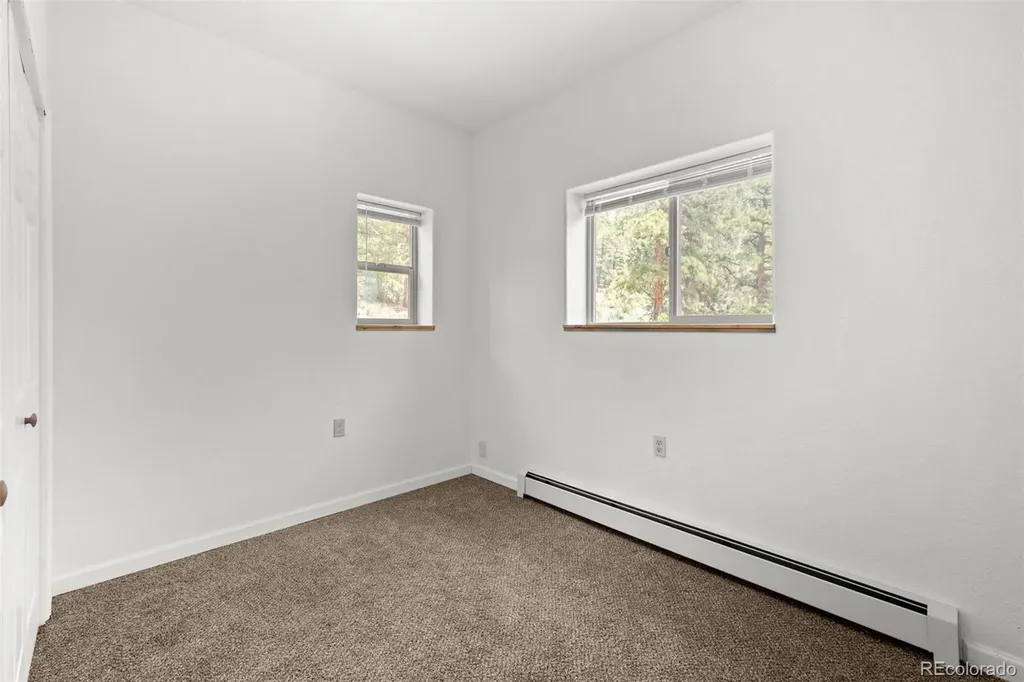 88 Cedar Lane Bailey CO 80421